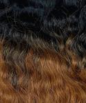 Load image into Gallery viewer, Curly Lace Front Wig Diana Ross
