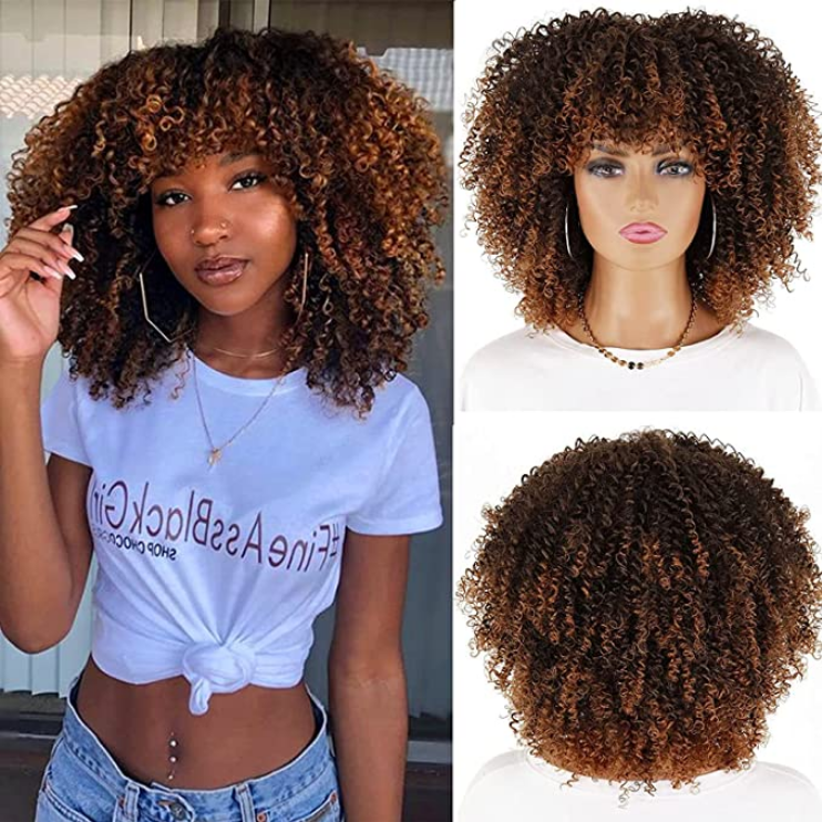 Afro Kinky Curly Wig Steph